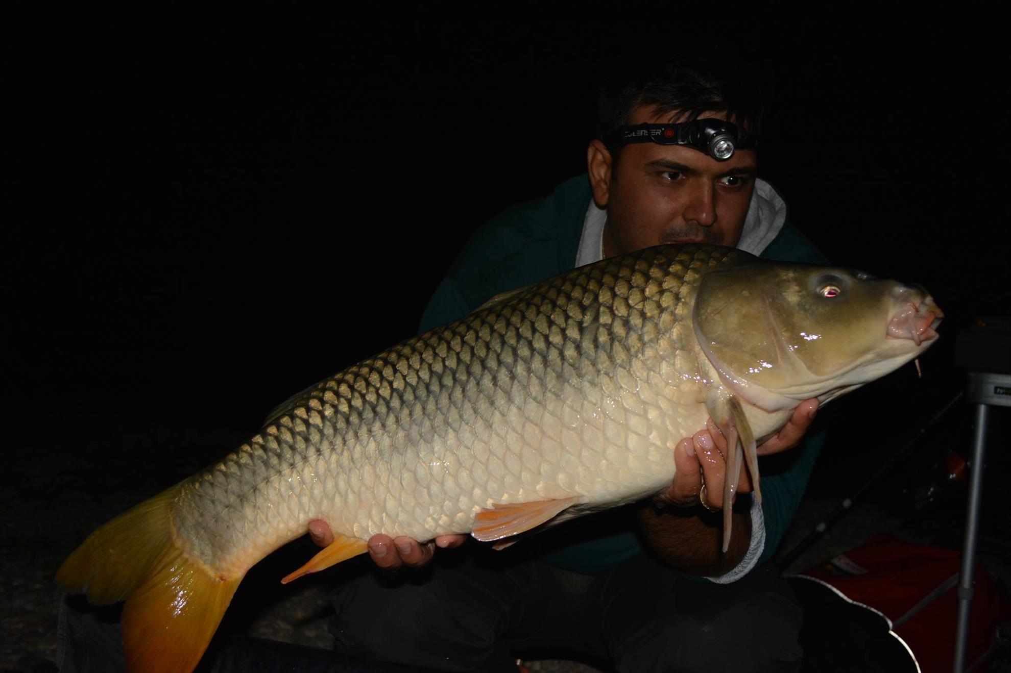 Hermes Peris 12 - 13 septembrie 2014